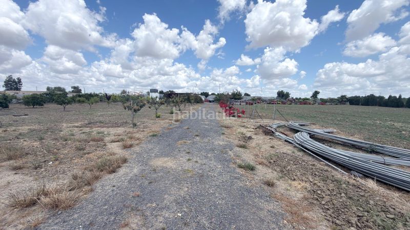 Foto fb8dfcd3-b7d4-4011-89ca-bdf3322592fd. Finca rústica a San Juan del Puerto