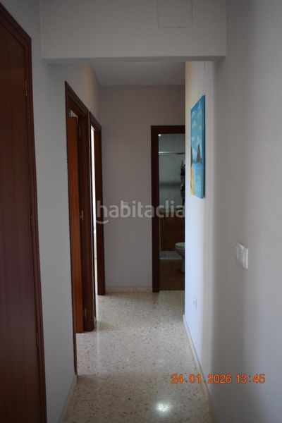 Foto e5b4e7ed-60ee-4f5e-b25f-5182bbf5fe9c. Pis a Gibraleón