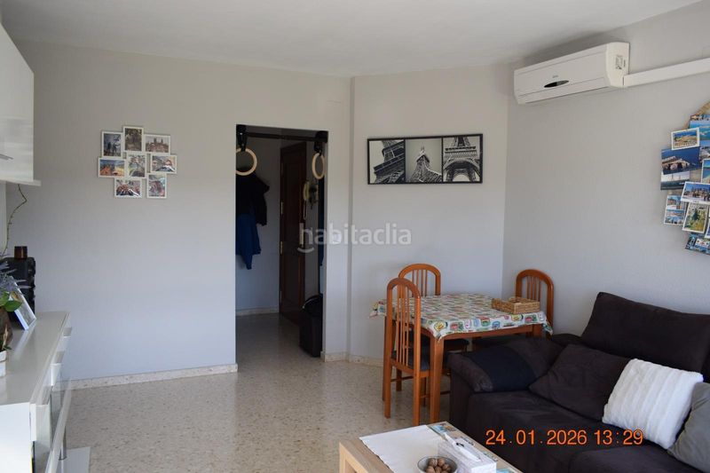 Foto f13bc039-cc85-4228-b494-eaab6204fab6. Pis a Gibraleón