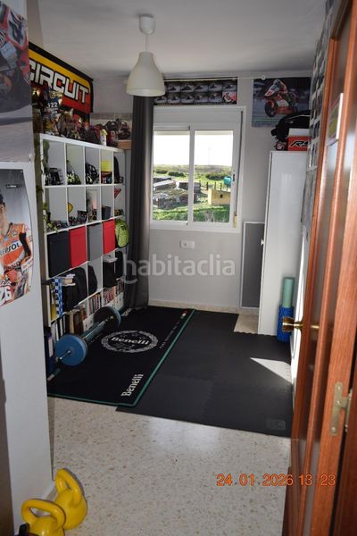 Foto fa65414d-d0fc-4403-be20-0c02592f262d. Pis a Gibraleón