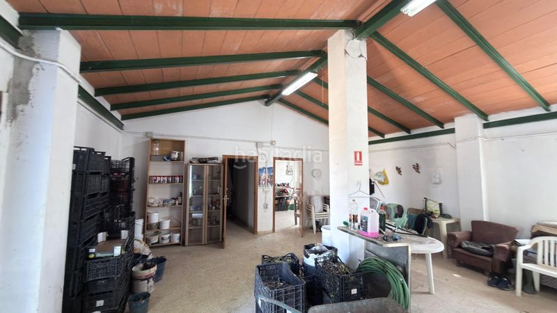 Foto 14f0ddf9-bd10-462c-9000-25492f0e21e8. Masia a La Orden Huelva