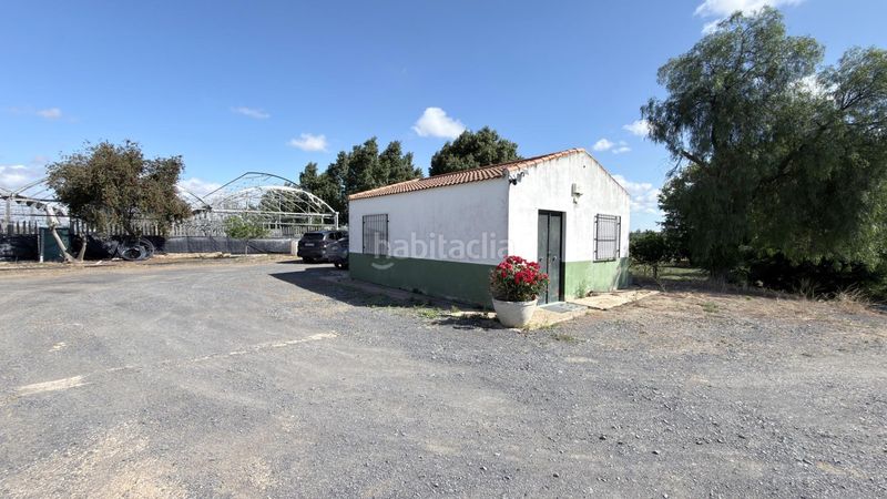Foto 37171daa-d052-4e7b-811e-9a8de5e40ec6. Masia a La Orden Huelva