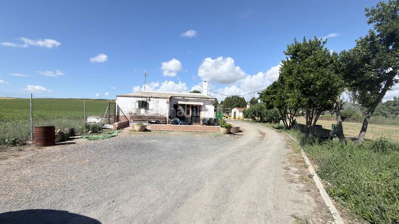 Foto 4b842859-656d-4900-bdd4-2773cee5b117. Masia a La Orden Huelva