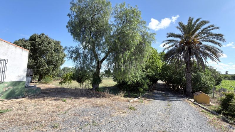 Foto 5b3d2e95-9582-4cc6-be01-00cb60806689. Masia a La Orden Huelva