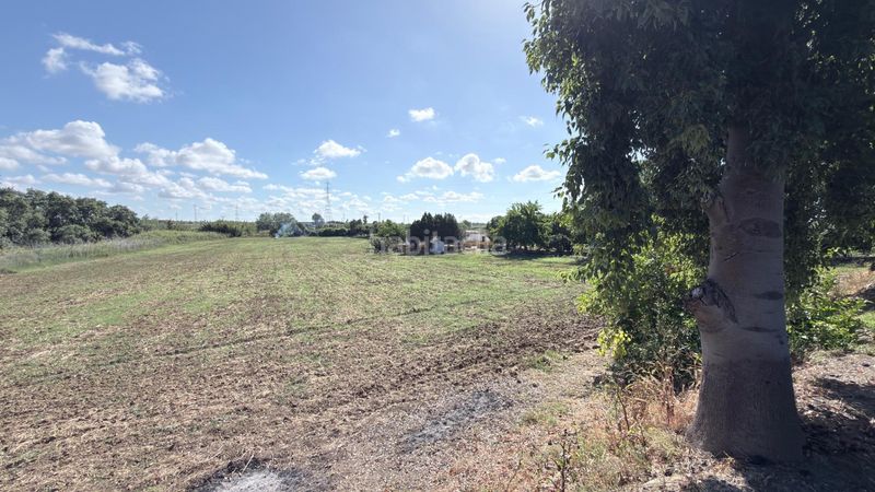 Foto 623c2894-e6d4-4ee8-b495-c7e887f94579. Masia a La Orden Huelva