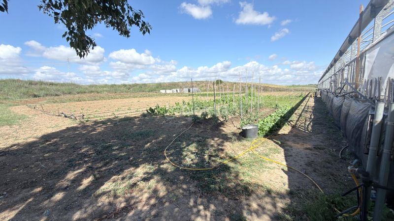 Foto 70f4d353-3f03-4aa2-9129-7a71884bde51. Masia a La Orden Huelva