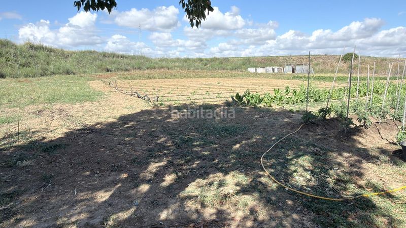 Foto 8b9d6de8-6284-4327-8450-f766e428d15c. Masia a La Orden Huelva