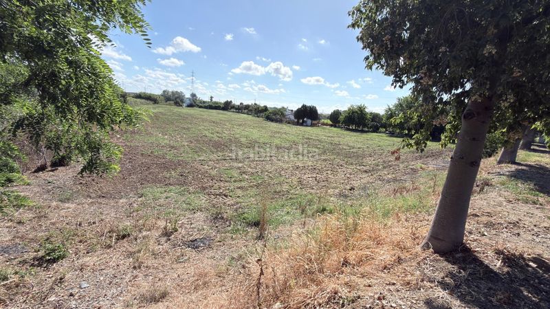 Foto debc3bcc-063d-451d-86e3-841433852116. Masia a La Orden Huelva