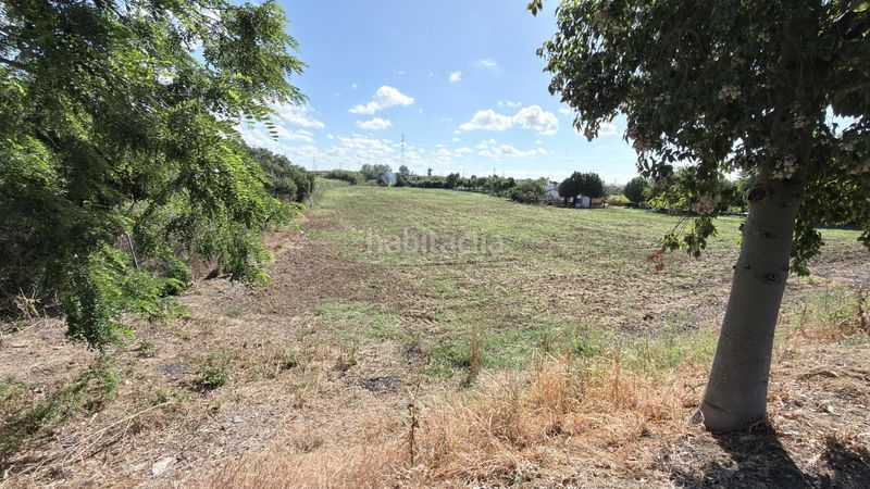 Foto e3b694ec-3971-49d4-bbf7-4d67d2bfeced. Masia a La Orden Huelva