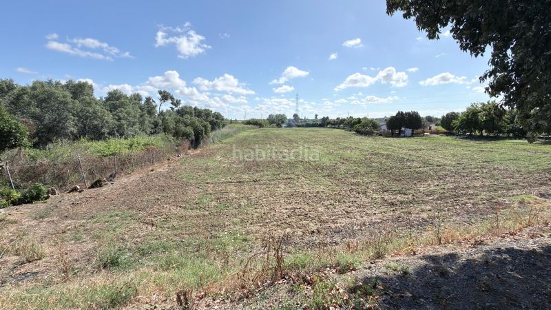 Foto edd8f7cc-d142-4f88-8982-0d87cbaa9f3f. Masia a La Orden Huelva