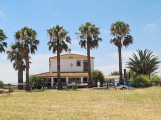 Country house in Moguer. Espectacular finca de 19.000 m2 con 2 casas en moguer huelva