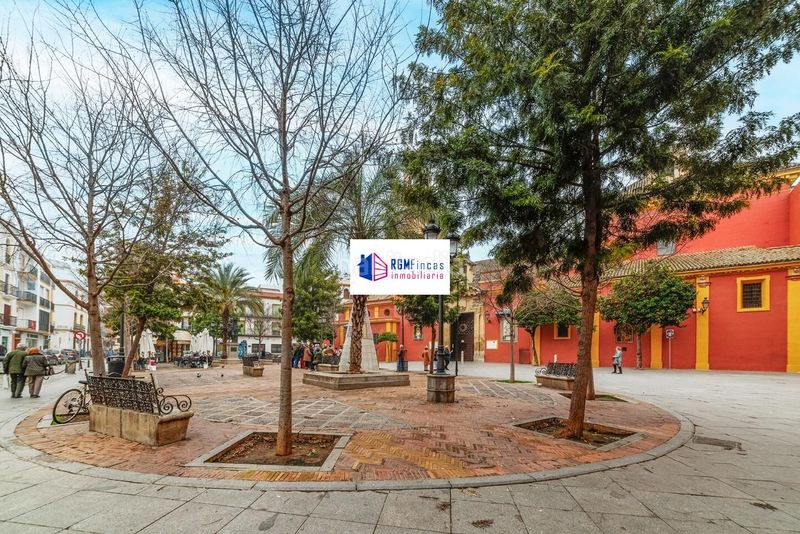 Foto 7c02b75d-b1c5-4a0b-a4af-08f3dd4c5756. Pis a San Lorenzo Sevilla