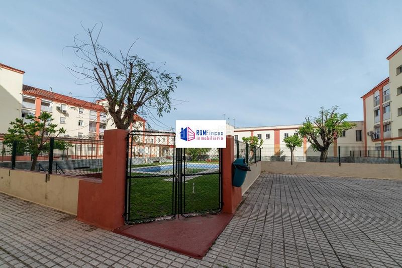 Foto 5dc0fad1-45d3-4b36-b26e-1285ea0d0f87. Pis amb piscina a colores - entreparques Sevilla