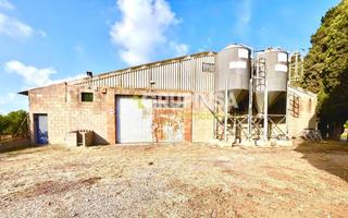 Miete Fabrikhalle in Santa Quiteria - Les Boqueres. Nave agrícola en alquiler en almazora  almassora.