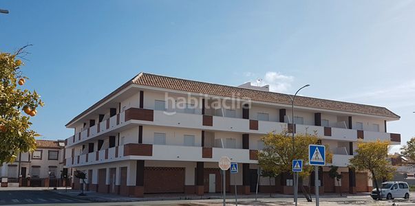 Foto eb203199-e67a-470d-a8c3-66c829037a19. Rent business premise in avenida de triana 5 in Alcalá del Río