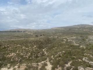 Finca rústica  Calle infanta paz. A0283-venta parcela rustica