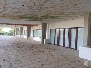 Local Comercial  Urbanizacion parque botanico. Local comercial en venta en las lomas de guadalmina