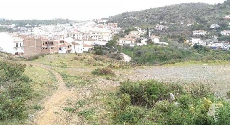 Foto 194e251b-eee3-407f-ba80-84cf8e766406. Residential plot in Guaro