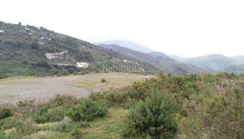 Foto e70a5b58-9e67-4fc9-a231-4430d2bf2707. Residential plot in Guaro