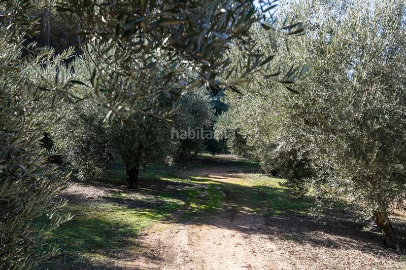 Foto 7405225b-8054-428c-8af1-266f986cc5cd. Landgut in Albolote