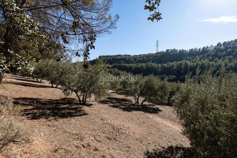 Foto 96723113-28d0-485b-8bd5-dd1ef3b56c39. Landgut in Albolote