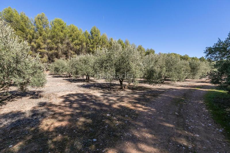 Foto c7276ddb-3ffd-4c5d-ad54-e5f872215c78. Landgut in Albolote