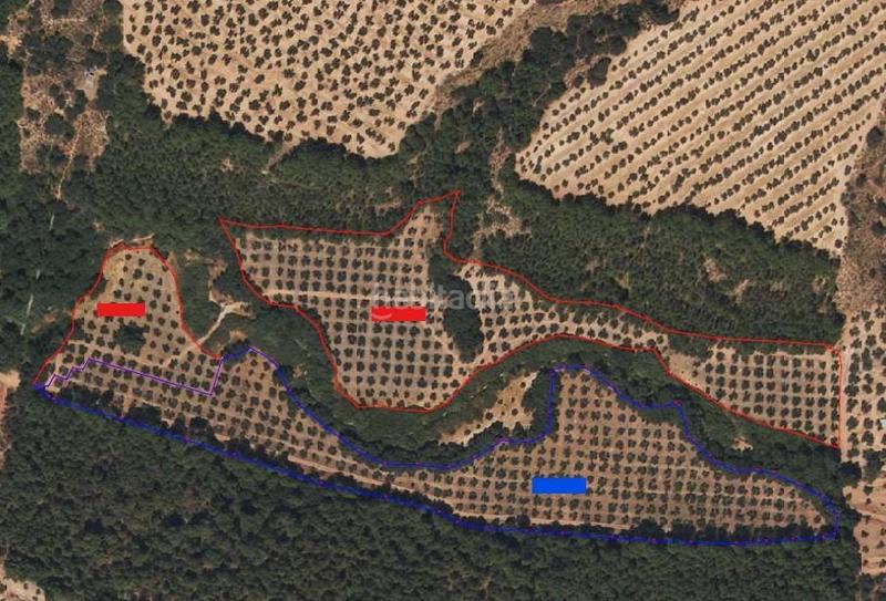 Foto ece33ae5-0482-46c0-9037-9d689cfb56b2. Landgut in Albolote