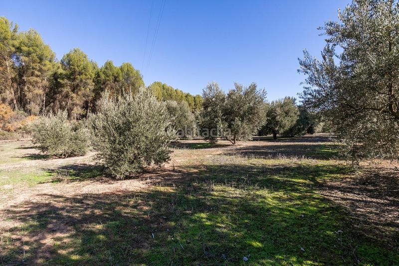 Foto fc08b6cb-0985-4226-8f26-6ab0666b2eed. Landgut in Albolote