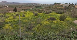 Terrain résidentiel  Calle juan ramon jimenez. Suelo para inversores en alhendin