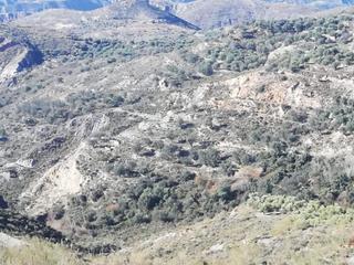 Finca rústica a Polígono 6 parcela 278 castillejo. nevada (granad 6. Gran oportunidad! suelo agrícola de regadío en nevada, granada