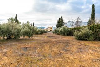 Terrain résidentiel  Calle laurel. Parcela urbana consolidada con 2.558 m2, en la urbanización los
