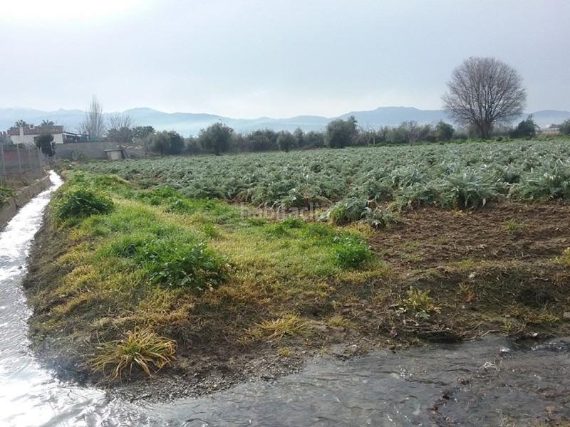 Foto 2a05973d-67c7-4350-a072-6fc328622355. Fondo rustico in Lancha del Genil Granada