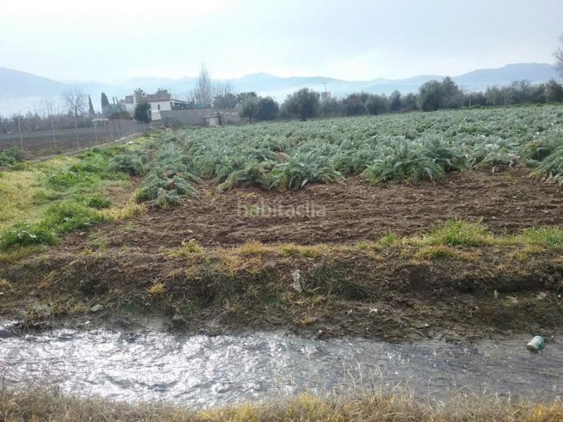 Foto fd4eba41-240c-4475-911e-8eb8b11a2912. Fondo rustico in Lancha del Genil Granada