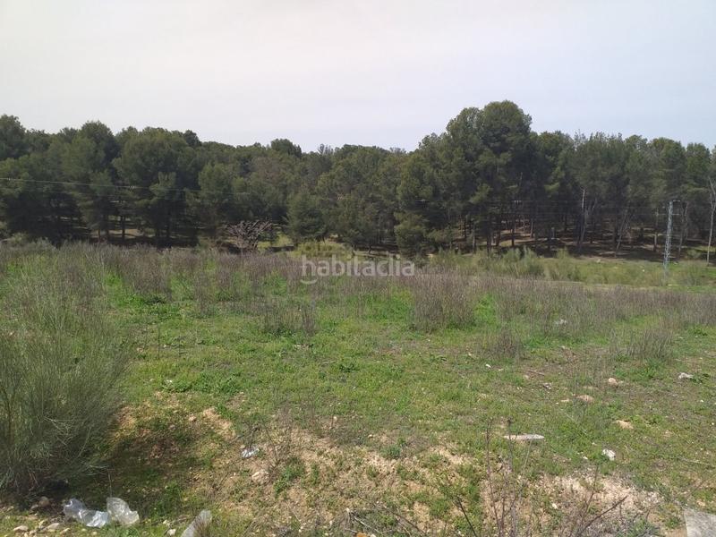 Foto effcf72e-44c6-42c6-96a1-117d2f83d324. Terreny residencial a Láchar