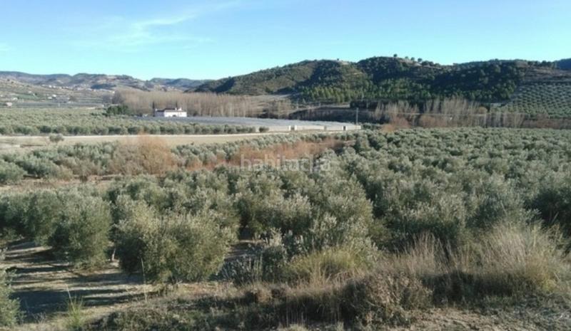 Foto e6bd4dc6-85fb-4849-ae51-7891b02ddce8. Finca rústica terreno rural en Jayena