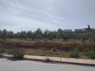 Residential Plot in Láchar. Parcelas de uso industrial  ubicadas en el pp3i de lachar
