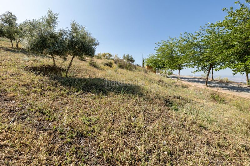 Foto 6501a30f-5ab3-4d95-b3bd-3faa64b2026b. Terreno residencial terreno industrial , perfecto para inversores en Alfacar