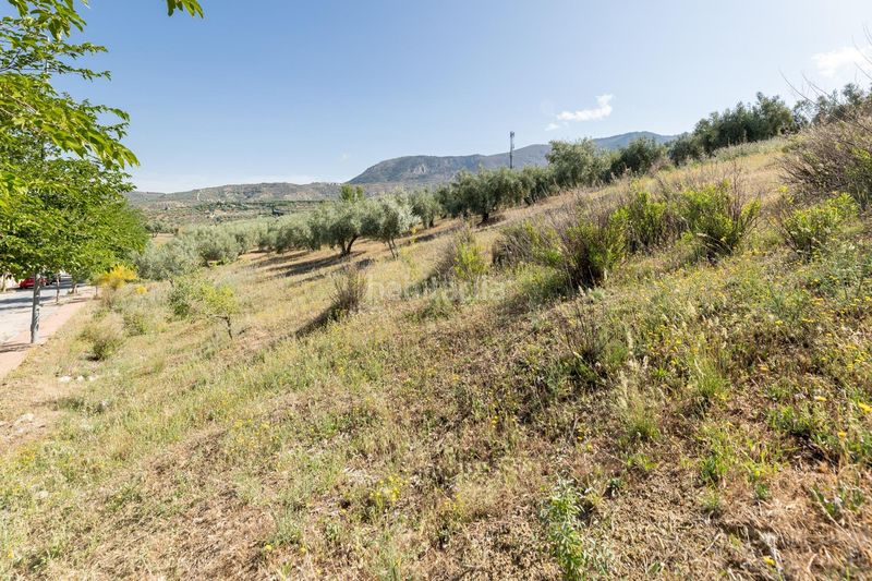 Foto be4d2ebb-86d1-4b43-a173-153b6b68edc6. Terreno residencial terreno industrial , perfecto para inversores en Alfacar
