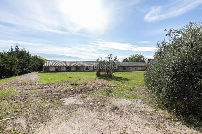 Foto 6ba78640-c375-48a2-a2f4-07c55bd45238. Wohngrundstück in Atarfe