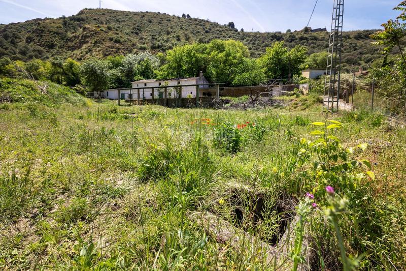 Foto 0740a6e8-d750-49d3-bd41-9ece8b4ac3f5. Rural plot in Cenes de la Vega