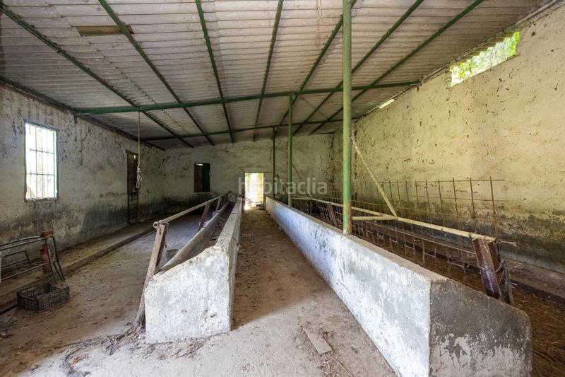 Foto c7d02ef9-b789-4d11-a0e5-9cba810a26d6. Rural plot in Cenes de la Vega