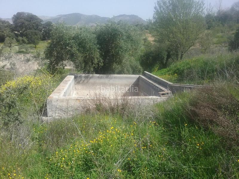Foto 0058a74e-7822-4245-a71e-a178aa677064. Finca rústica olivar en el fargue. paraje aynadamar en Granada