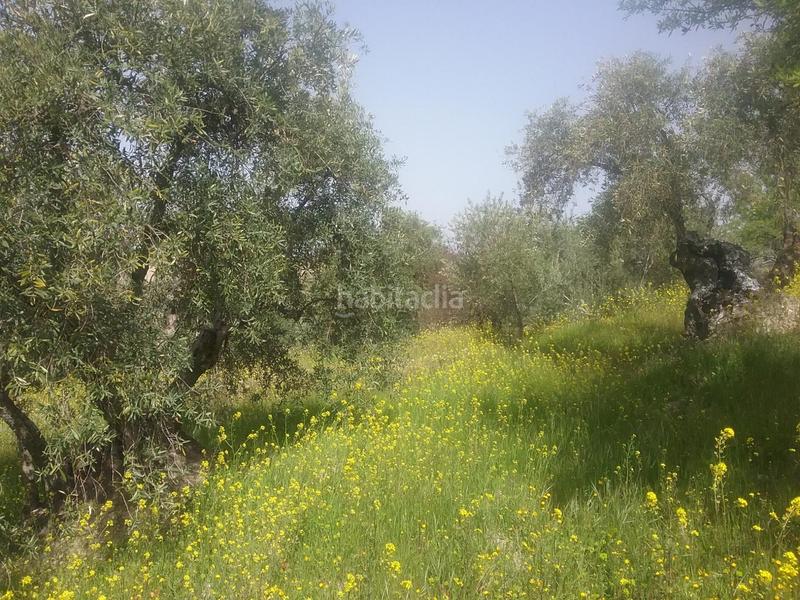 Foto 226a83d1-c072-4591-8c0b-e768c723cb1e. Finca rústica olivar en el fargue. paraje aynadamar en Granada