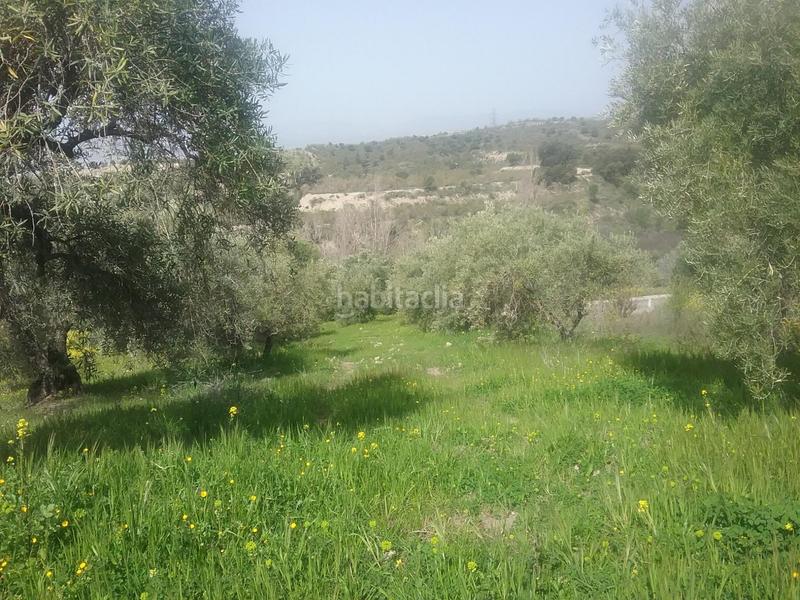 Foto 2543dfab-2868-4251-ba26-5d3482e8949a. Finca rústica olivar en el fargue. paraje aynadamar en Granada