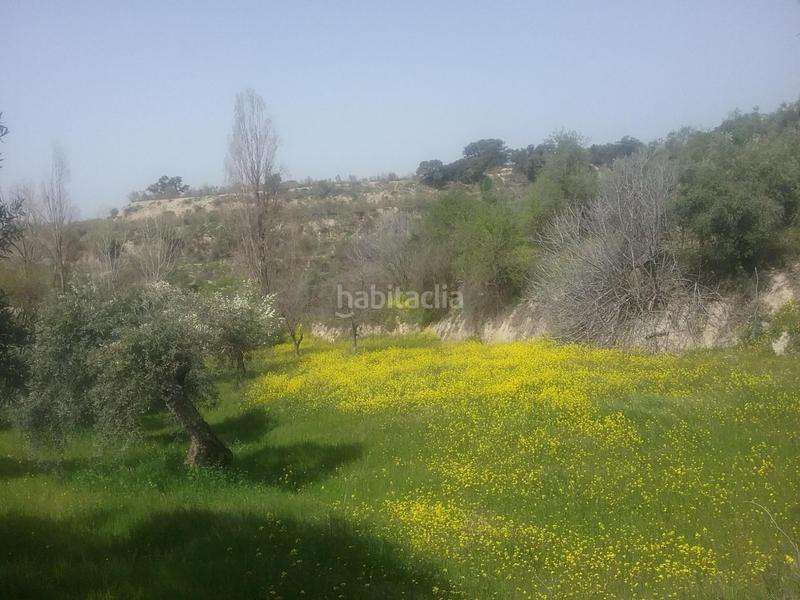 Foto 76a481f0-7a26-4ccd-8417-da7410edfb6c. Finca rústica olivar en el fargue. paraje aynadamar en Granada