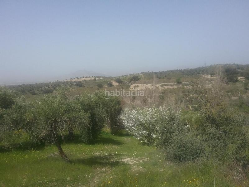 Foto b3aab8a7-5b32-49b6-baa2-d4c17887cc65. Finca rústica olivar en el fargue. paraje aynadamar en Granada