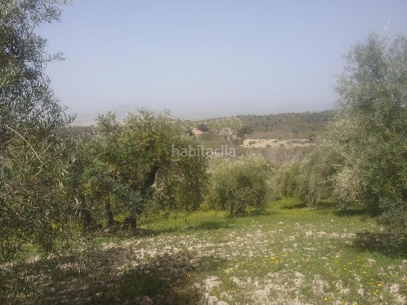 Foto fc2db624-5a37-45e6-8320-cb5f993d440b. Finca rústica olivar en el fargue. paraje aynadamar en Granada