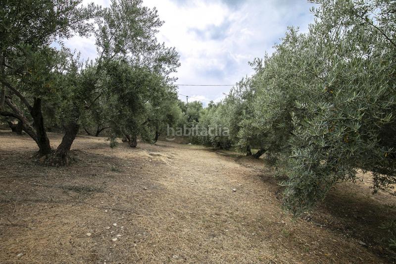 Foto c4142acc-9bd9-4b5d-89b9-3882230cb0da. Residential plot in Huétor de Santillán