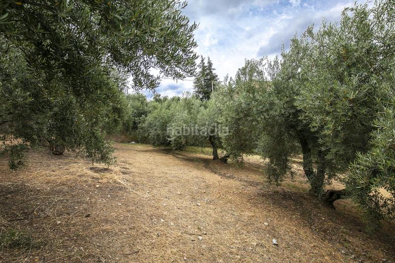 Foto df1d1b7b-fd3e-40c5-97fe-eeaaab762d39. Residential plot in Huétor de Santillán
