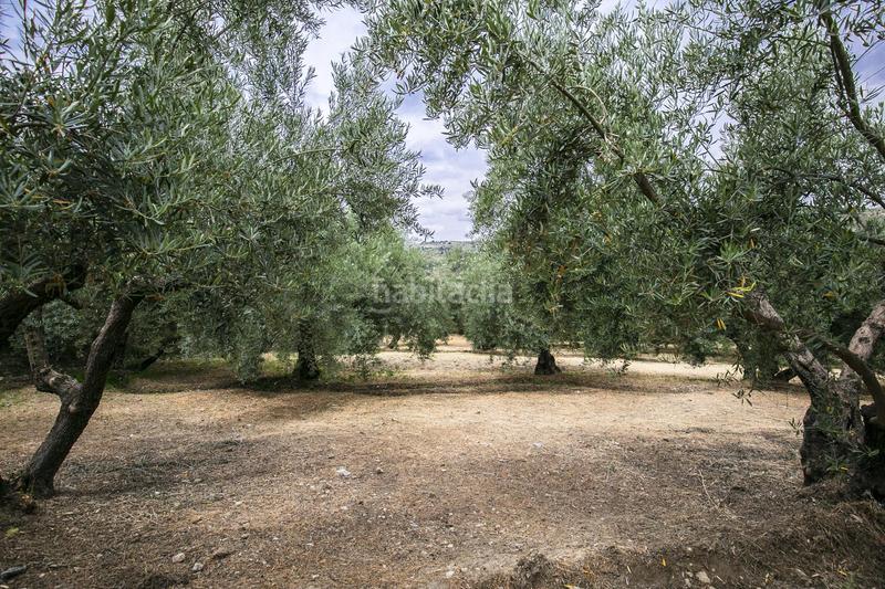 Foto e3d2a95b-c827-4757-824e-54fd55fe603b. Residential plot in Huétor de Santillán